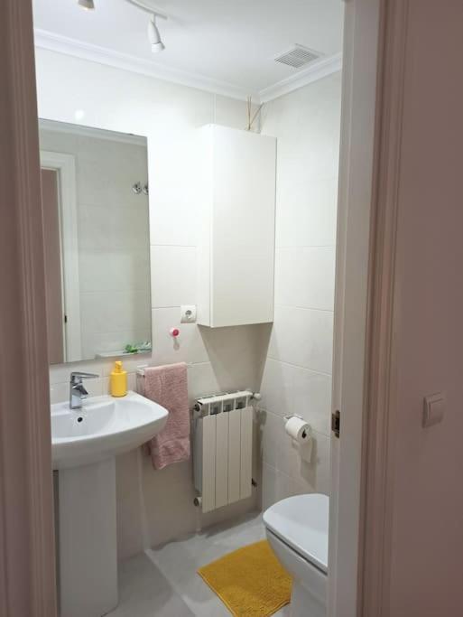 Bajo Con Jardin Privado Apartment Santander Exterior photo