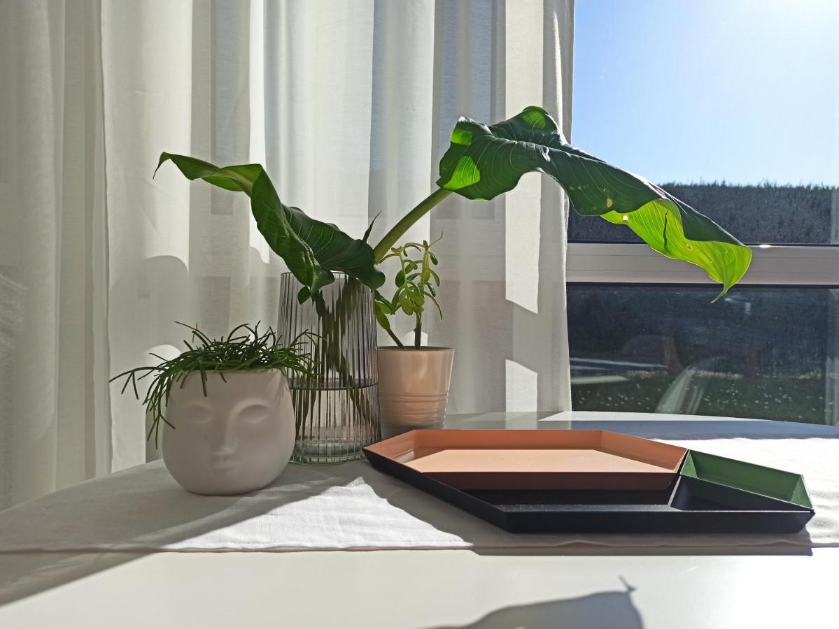 Bajo Con Jardin Privado Apartment Santander Exterior photo
